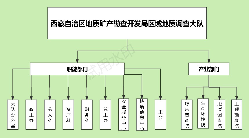 组织结构图.jpg